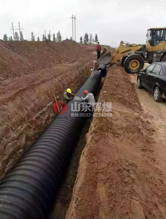 在线精品亚洲观看不卡欧