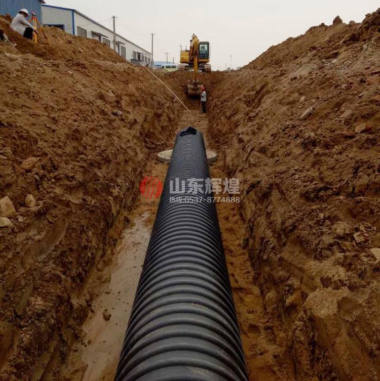 在线精品亚洲观看不卡欧