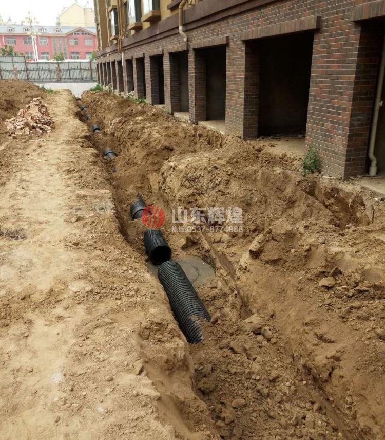 在线精品亚洲观看不卡欧