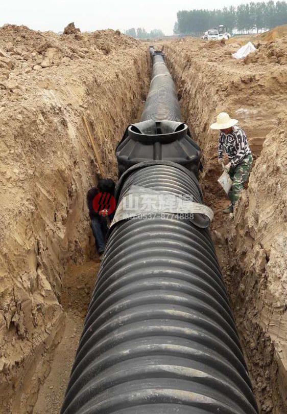 在线精品亚洲观看不卡欧