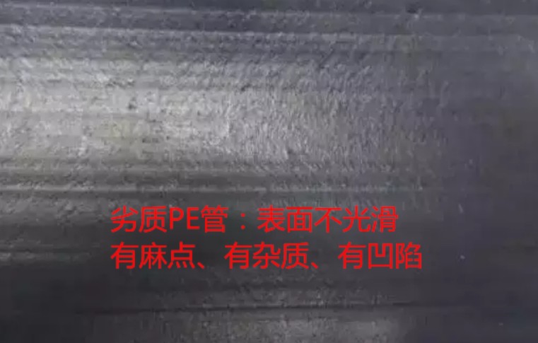 在线精品亚洲观看不卡欧