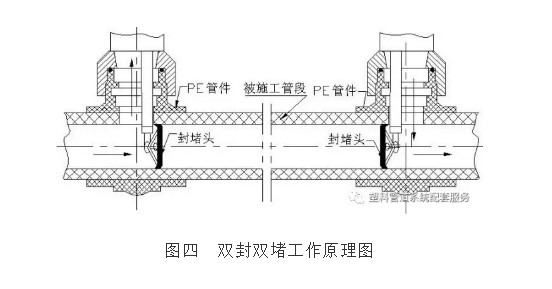 在线精品亚洲观看不卡欧