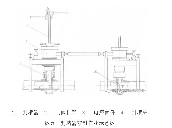 在线精品亚洲观看不卡欧