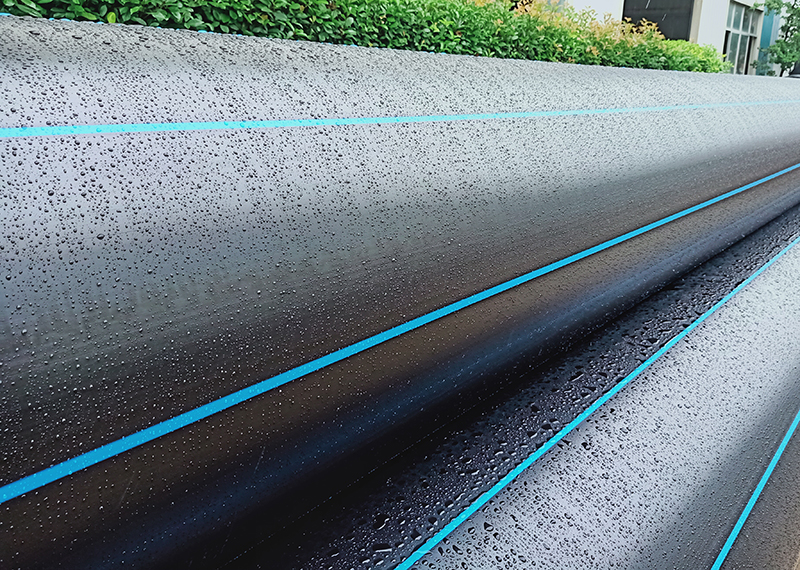 在线精品亚洲观看不卡欧